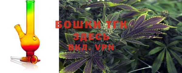 PSILOCYBIN Богданович