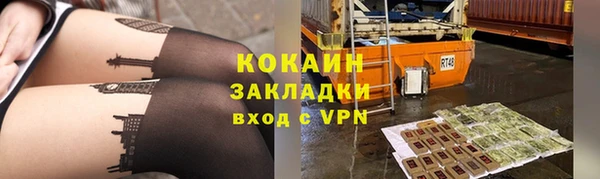PSILOCYBIN Богданович