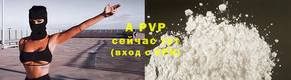 PSILOCYBIN Богданович