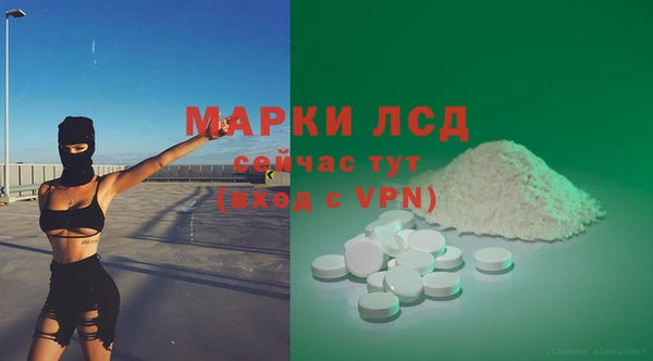 PSILOCYBIN Богданович