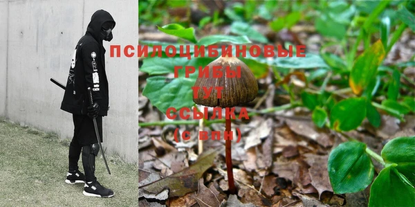 соль курить ск Богородск