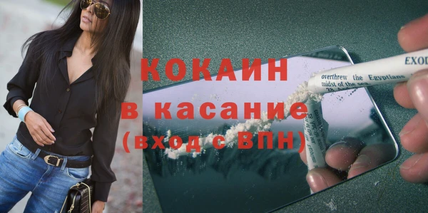 PSILOCYBIN Богданович
