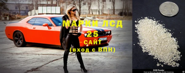 гашик Богородицк