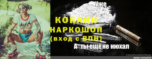 соль курить ск Богородск