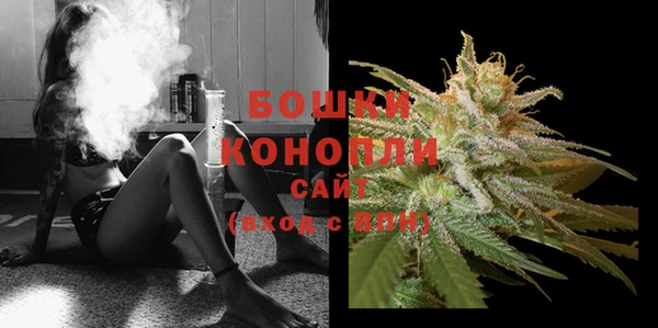 PSILOCYBIN Богданович