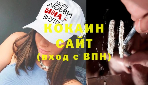 PSILOCYBIN Богданович