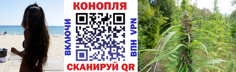 Конопля ГИДРОПОН  Выборг 